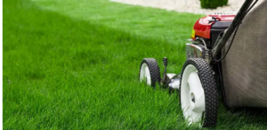 Guaranteed-Garden-Services mowing Adelaide	